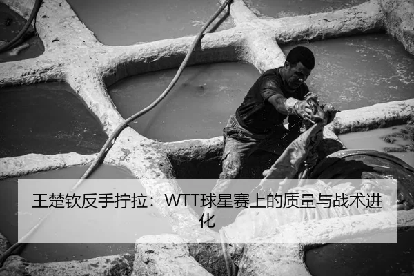 王楚钦反手拧拉：WTT球星赛上的质量与战术进化