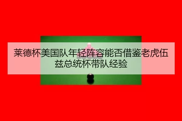 lai-de-bei-mei-guo-dui-nian-qing-zhen-rong-neng-fou-jie-jian-lao-hu-wu-zi-zong-tong-bei-dai-dui-jing-yan-3-967.jpg