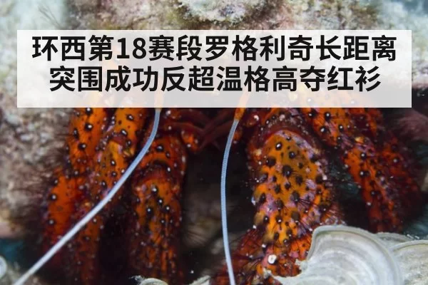 环西第18赛段罗格利奇长距离突围成功反超温格高夺红衫